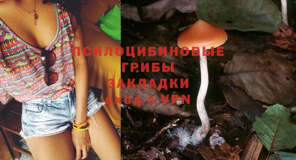 дживик Пересвет