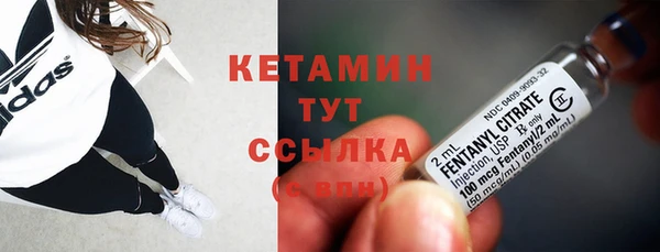 дживик Пересвет