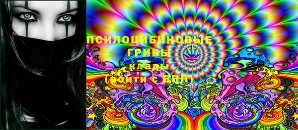 дживик Покров