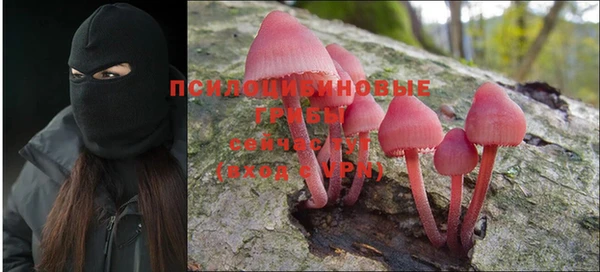 дживик Пересвет