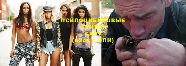 дживик Покров