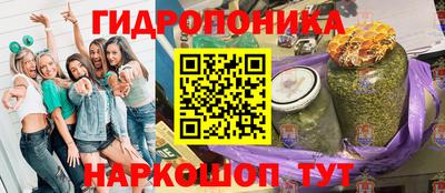 соль ск Дубна