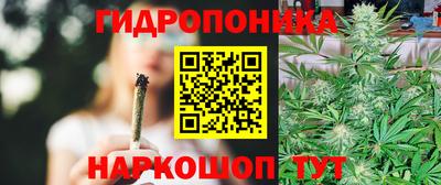 соль ск Дубна