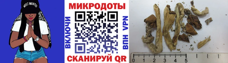 Псилоцибиновые грибы мицелий Киржач