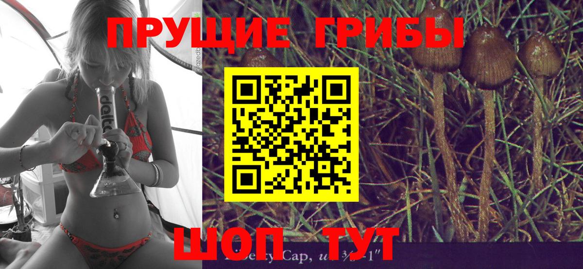 Псилоцибиновые грибы Magic Shrooms Киржач